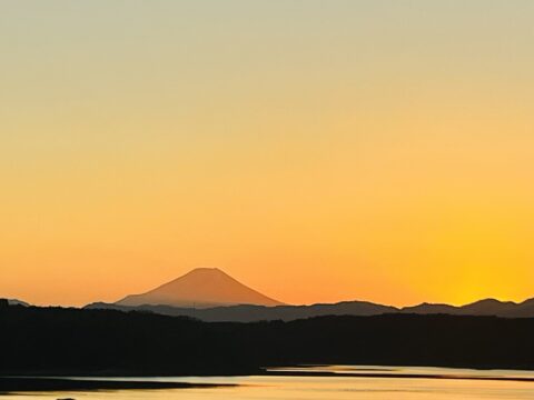 良い季節ですね